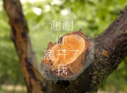 英雄联盟总决赛门票-铁血少年掀翻新大陆，加维的强硬与葡萄牙的华丽，写就2026世界杯F组唯一剧本