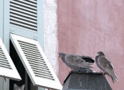 英雄联盟总决赛直播-唯一东决交锋，被遗忘的半小时悬念，公牛如何从被压制到扼杀尼克斯？