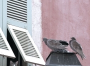 英雄联盟总决赛直播-唯一东决交锋，被遗忘的半小时悬念，公牛如何从被压制到扼杀尼克斯？