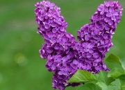 英雄联盟总决赛2025-终场哨前的魔术师，本泽马一剑封喉，勒沃库森绝境点亮威尔士寒夜