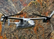 LOL赛事-巴雷拉接管世界排名争夺战，意大利以那不勒斯式高压压制荷兰