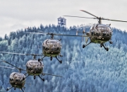 -狼烟四起，当德甲争冠战遭遇森林狼法则