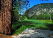 LOL决赛-双线叙事，字母哥的稳定机器，与北京队的高效谜题