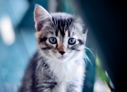 -绝境亮剑！摩纳哥关键战2-1突围马赛，坎特化身灵魂焊锁定乾坤