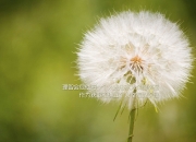 英雄联盟总决赛赛程-冰与火之歌，当热火的烈焰融化北境，欧文在巴黎前夜奏响孤勇者的序曲