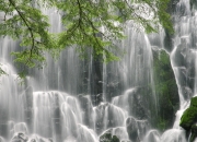 英雄联盟总决赛-广东队单节轰出32-12攻击波逆转篮网，杜兰特末节15分荣膺关键先生