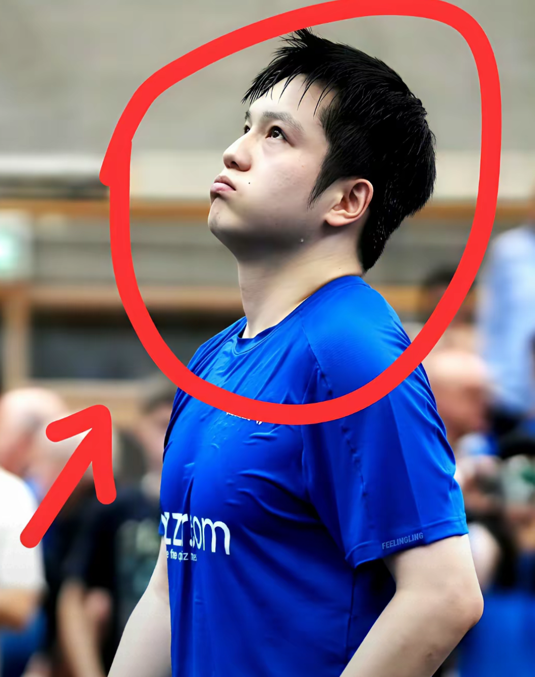 包含中国队轻取葡萄牙队,樊振东刷新纪录的词条 包含中国队轻取葡萄牙队,樊振东刷新纪录的词条