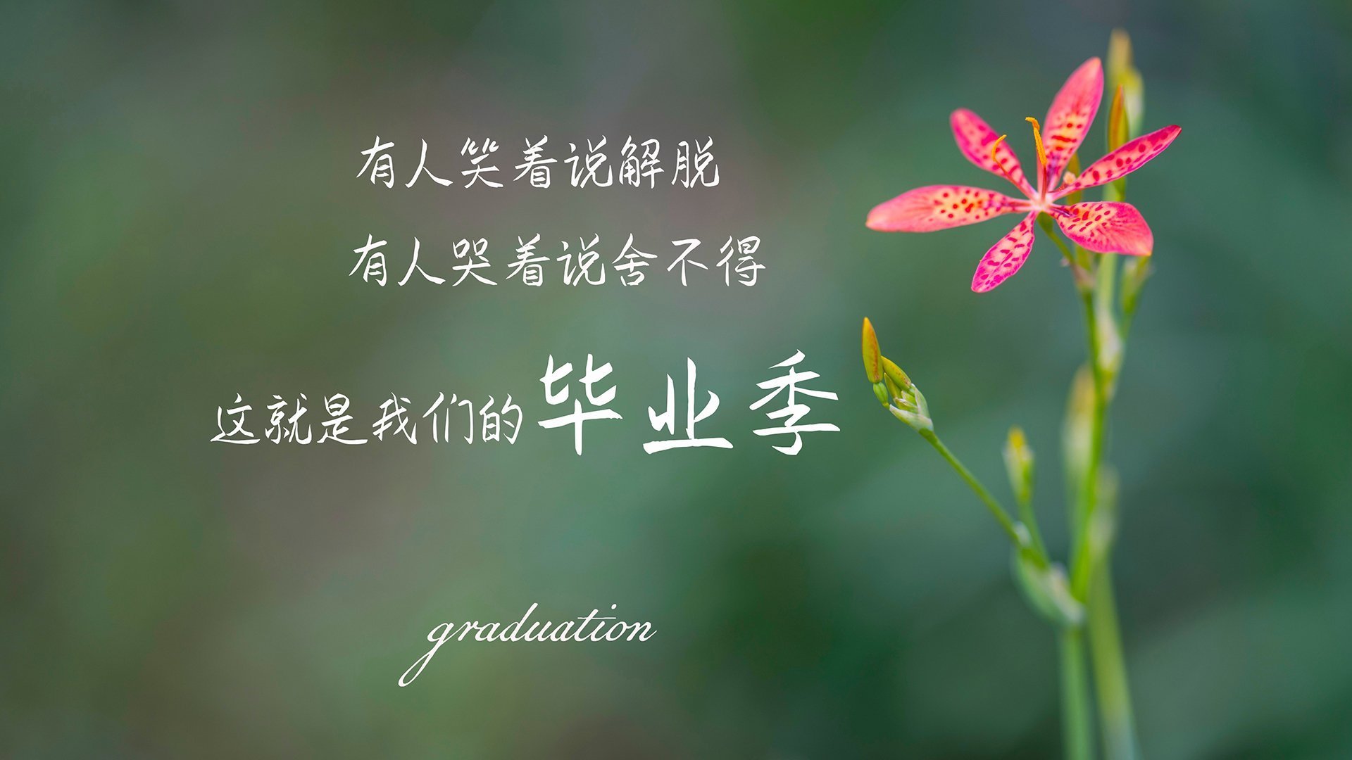 赛道与球场的交响，F1街道赛焦点战中的骑士险胜活塞