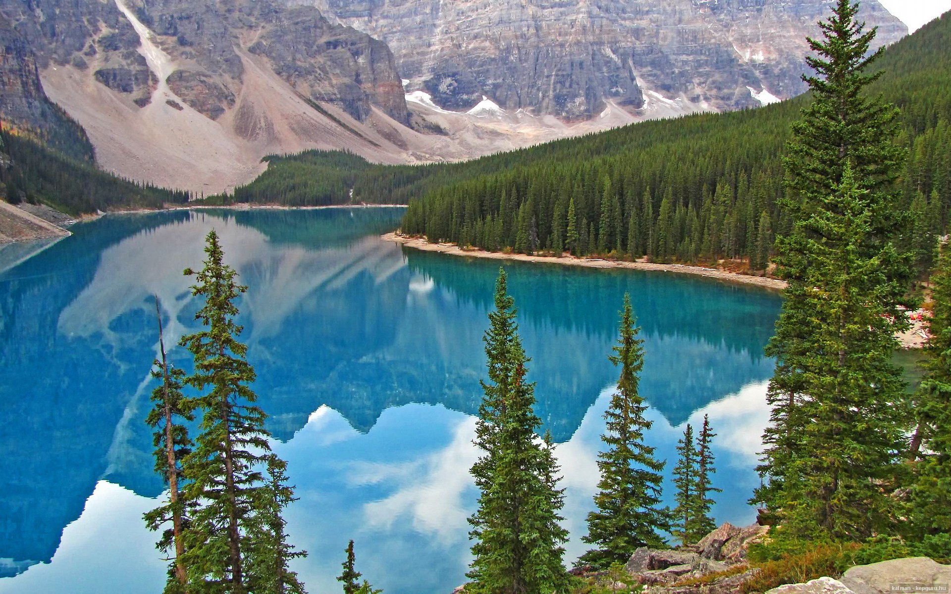 跨越时空的关键先生，当利拉德式的孤独照亮辽宁队的集体冲锋