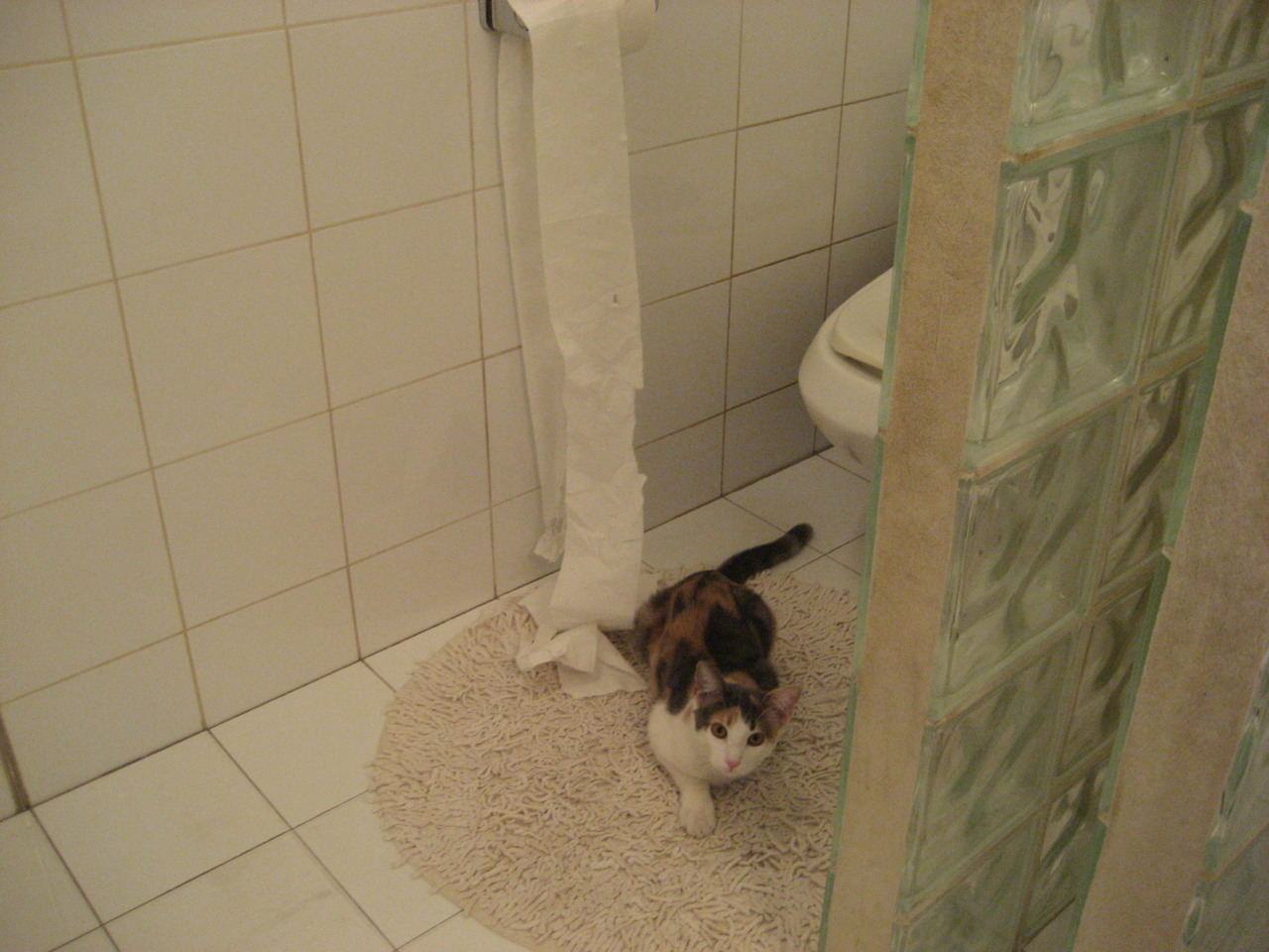 奇迹之夜，新西兰速胜巴萨，门迪冠军级表现闪耀全场