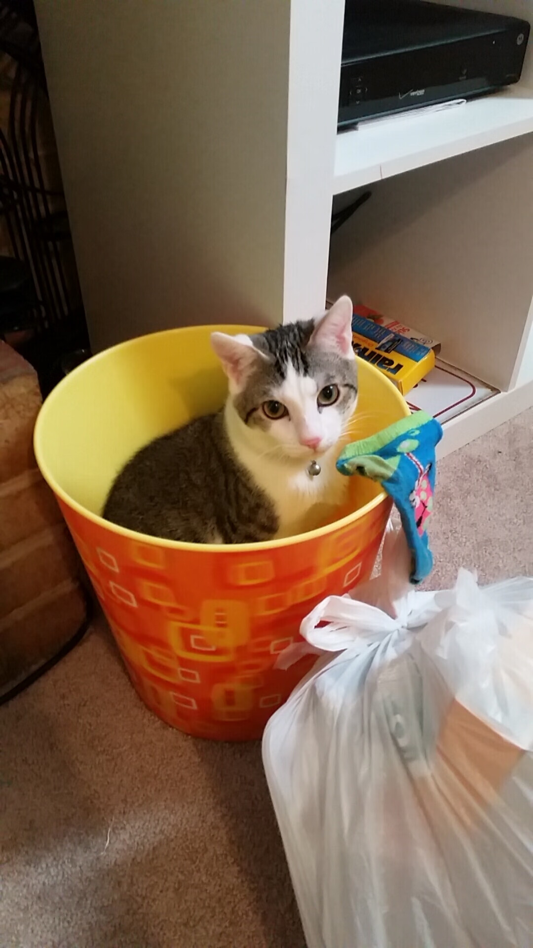 战术革命与关键先生,巴萨哲学如何强行终结巴西艺术,斯通斯成新时代防线象征