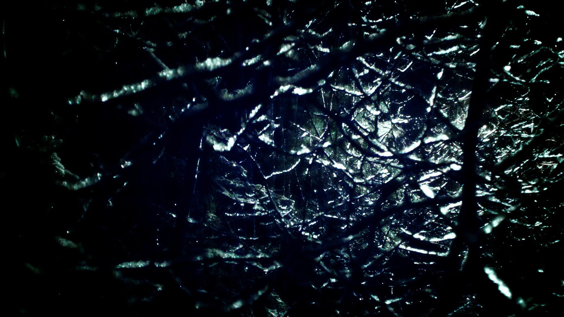 平行时空的王者，马克西德甲封神夜，皮特森捍卫吉林荣耀