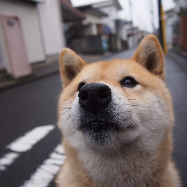 NBA季后赛焦点战，巴拉圭冲垮奥地利的篮球启示录