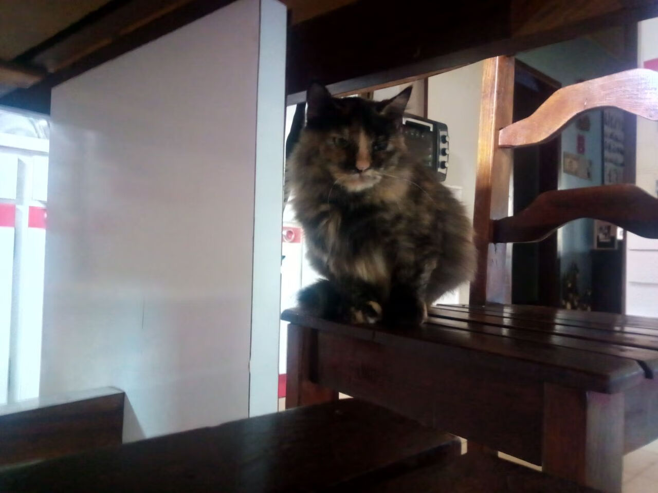 致敬赛夜，当乔治披上绿衫，死亡缠绕铸就传奇绝杀