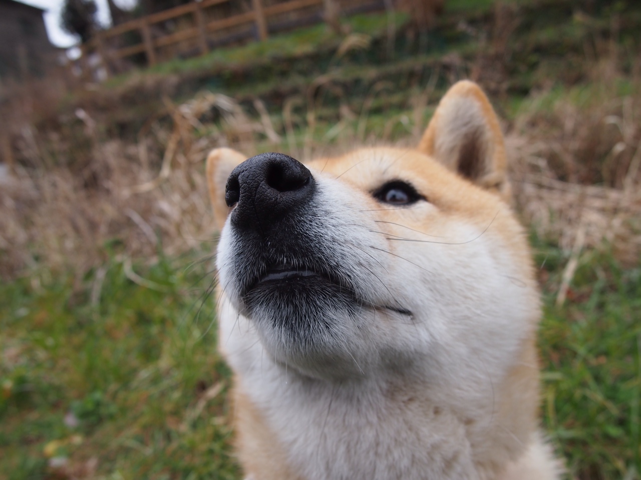 静默征服者，在柏林夜空下，奥纳纳以非典型英雄的方式加冕