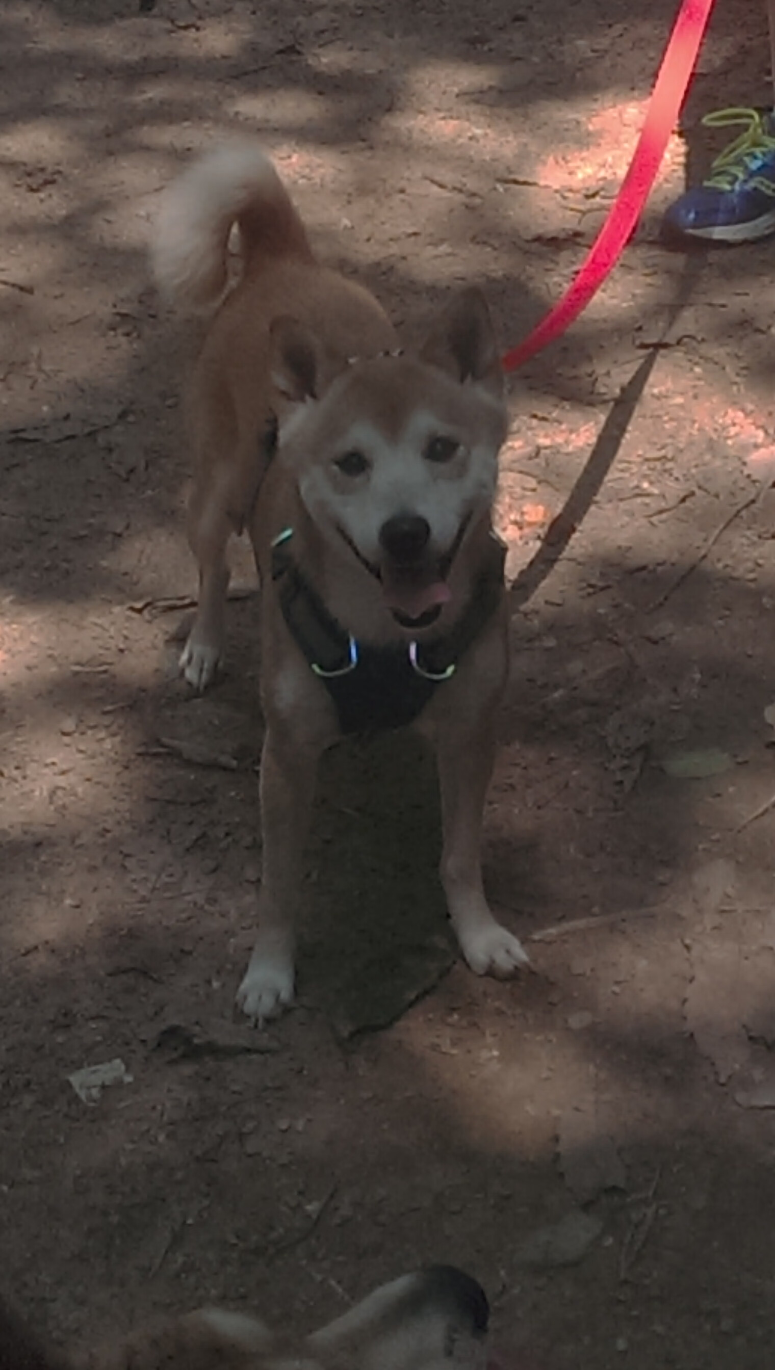 寒流袭城，拉文在底特律的审判之夜