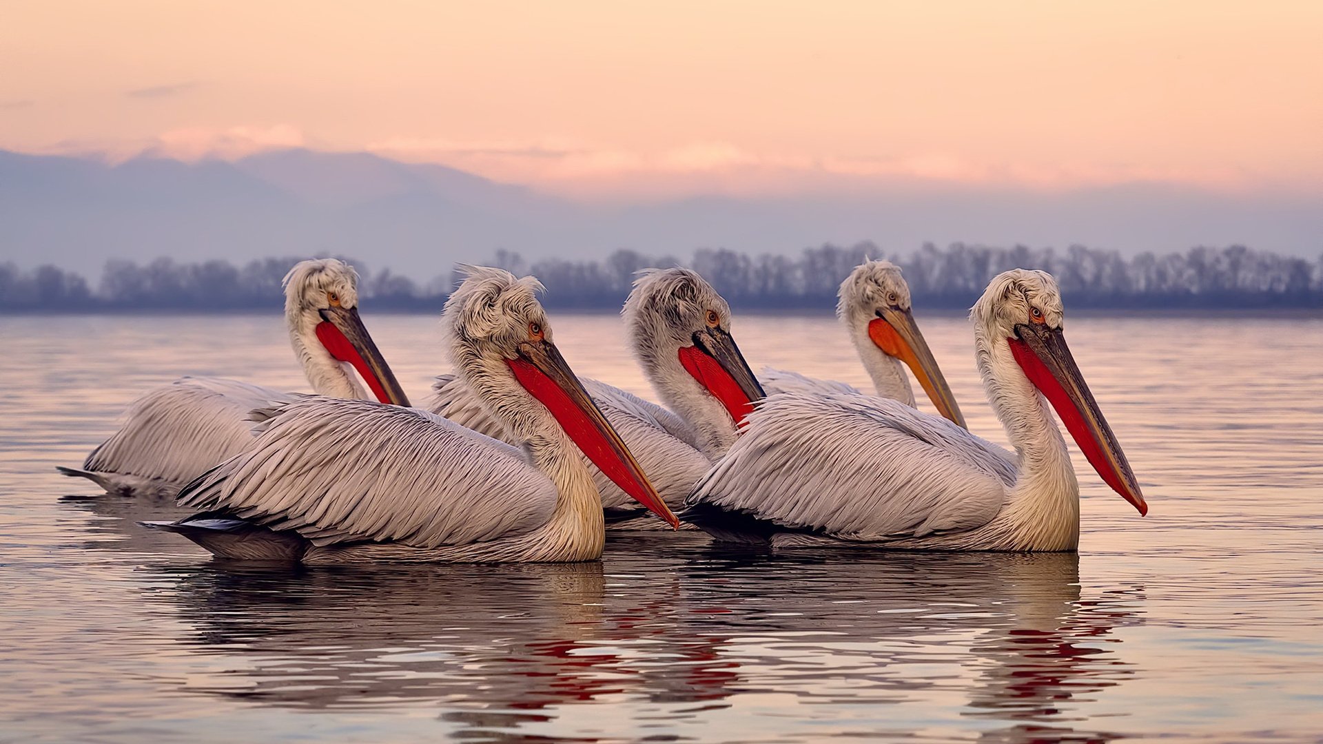 摩纳哥贵族赛道，给希腊新贵的优雅一课