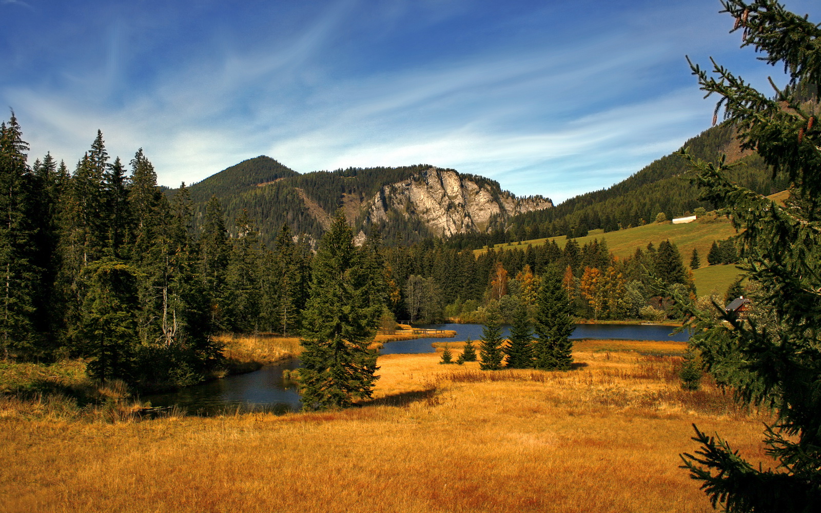 中锋的怒吼,武切维奇用复古技艺在生死夜击碎勇士小球王朝