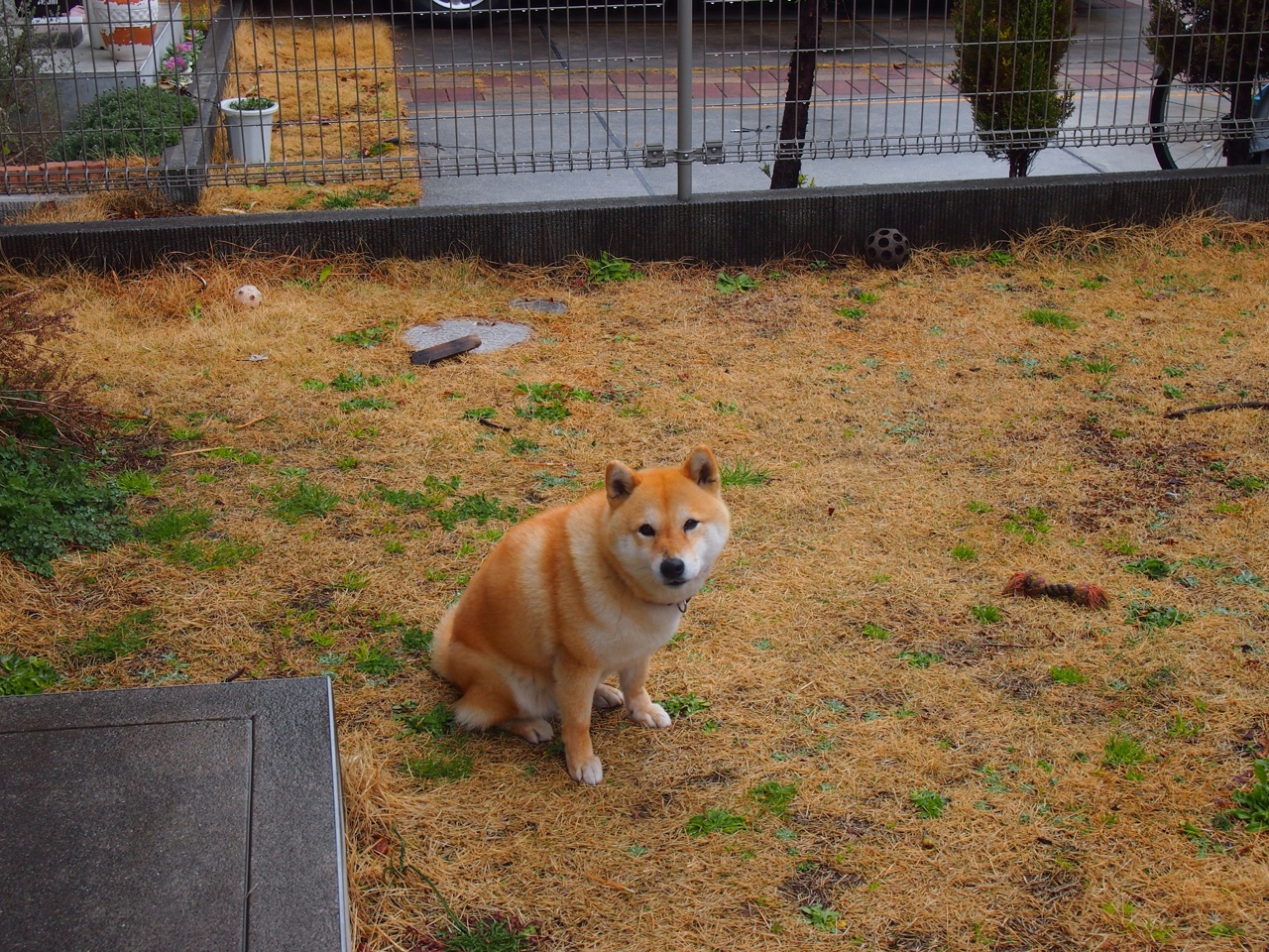 梦幻联动！当哈登满分之夜遭遇广厦铁锁，篮网在杭州被冻结