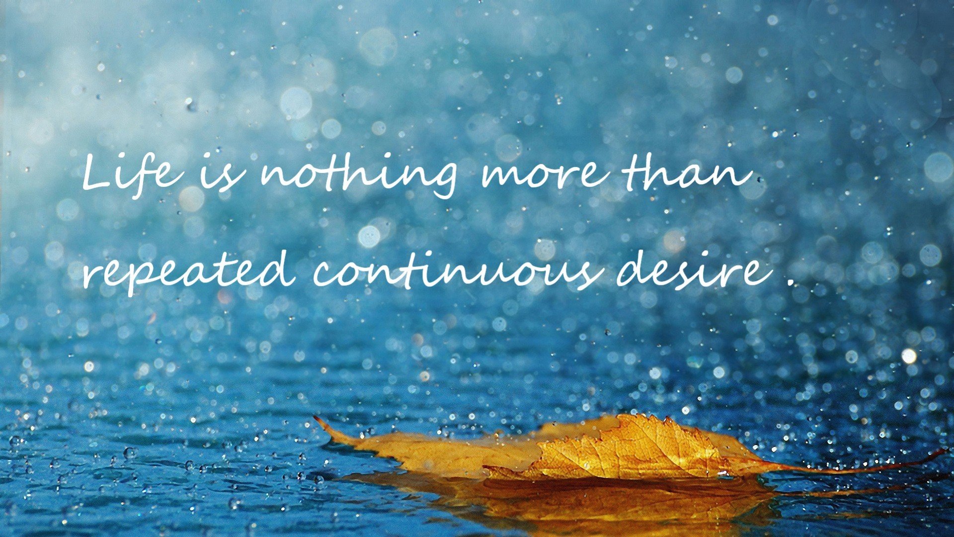 从孟菲斯到马尼拉，小贾伦·杰克逊的双重征服