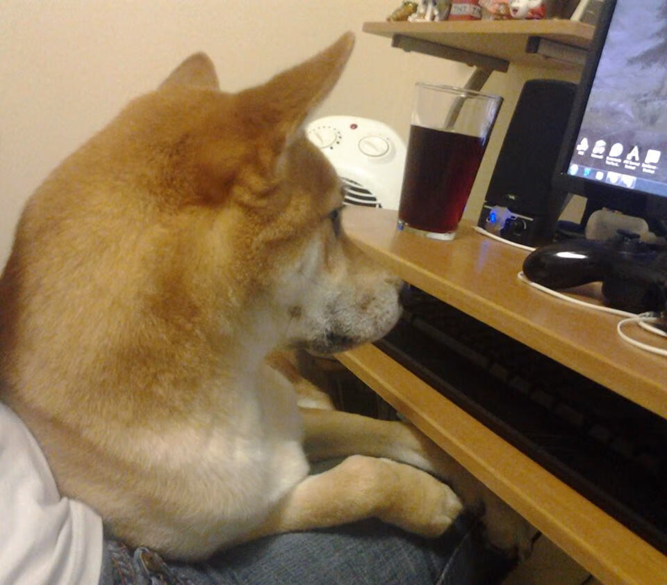 从韩国终结到巴尔韦德之火，一场战术变革与意志传承的足球叙事