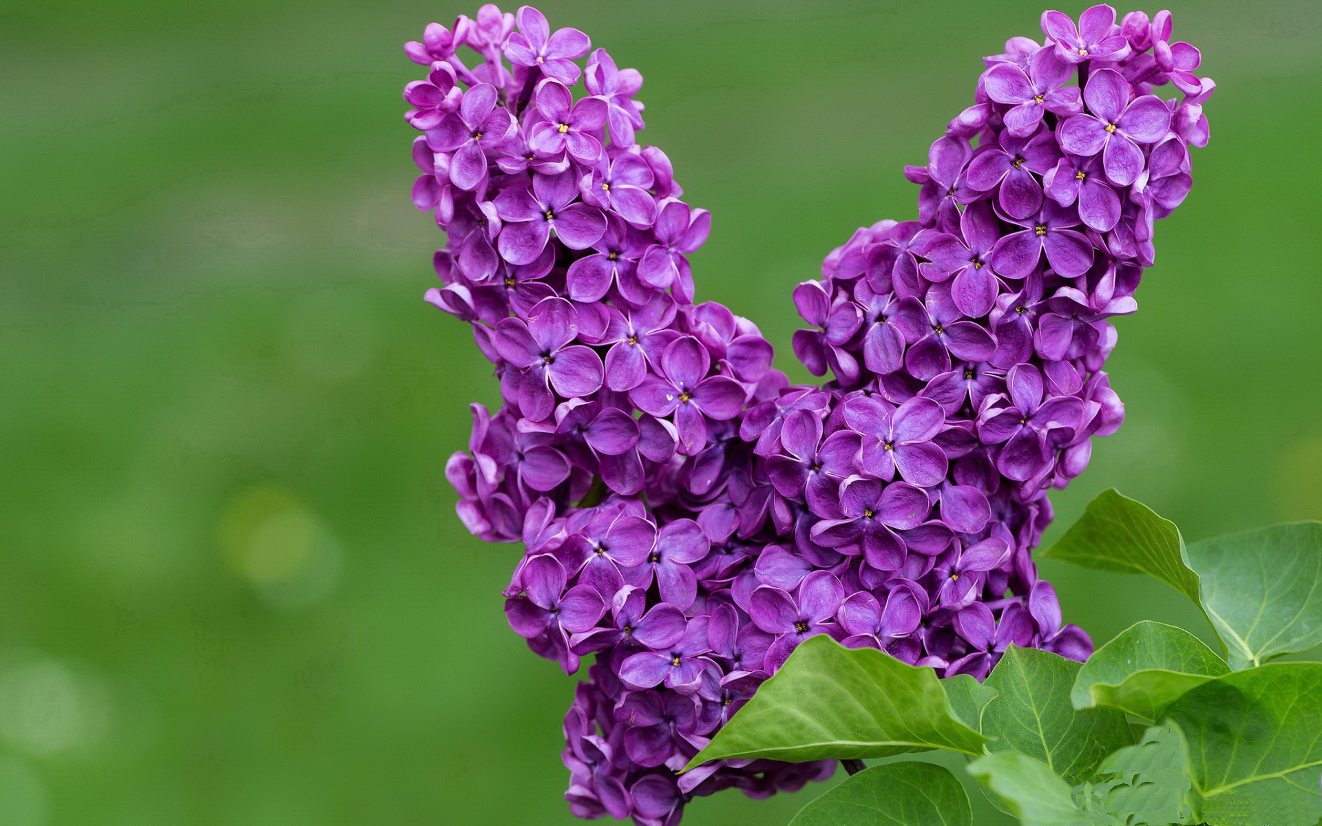 终场哨前的魔术师，本泽马一剑封喉，勒沃库森绝境点亮威尔士寒夜