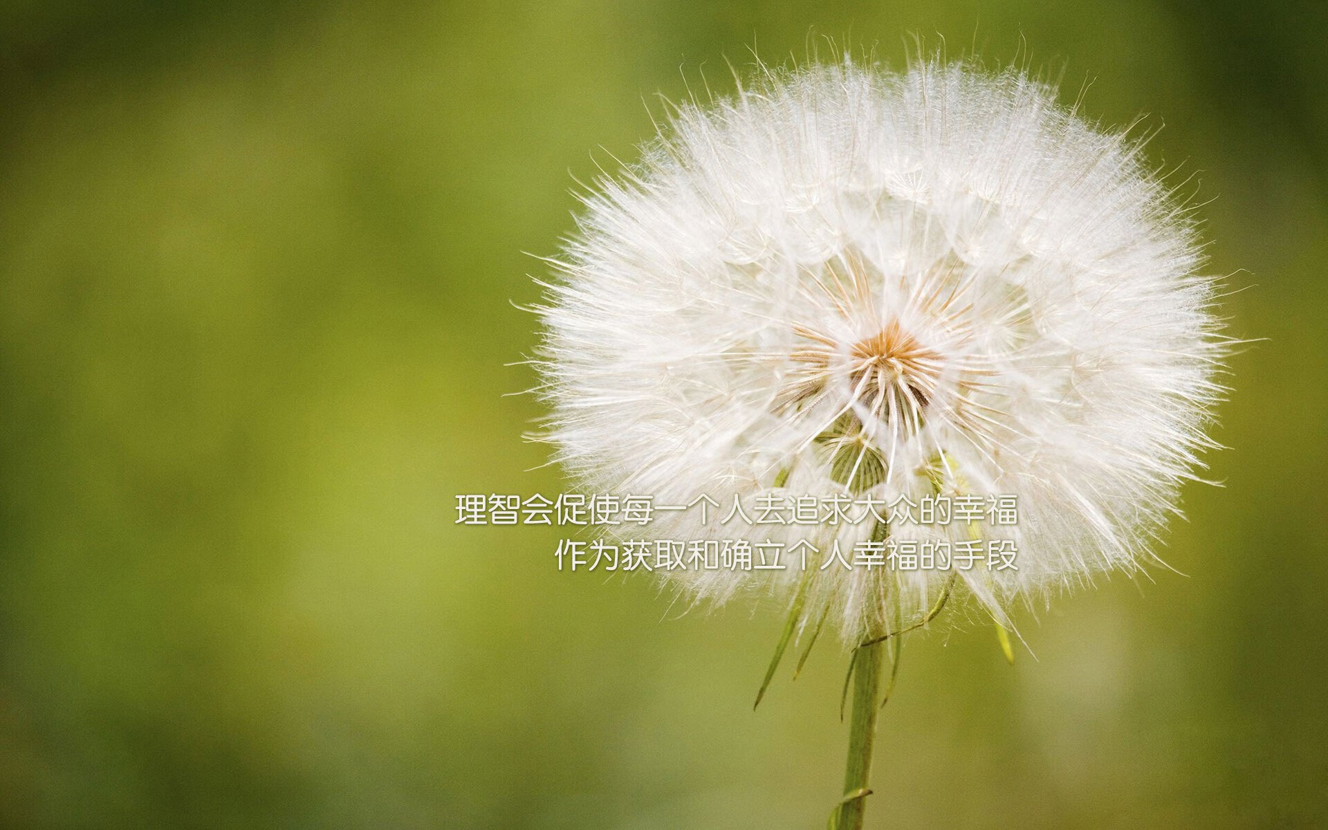 冰与火之歌，当热火的烈焰融化北境，欧文在巴黎前夜奏响孤勇者的序曲