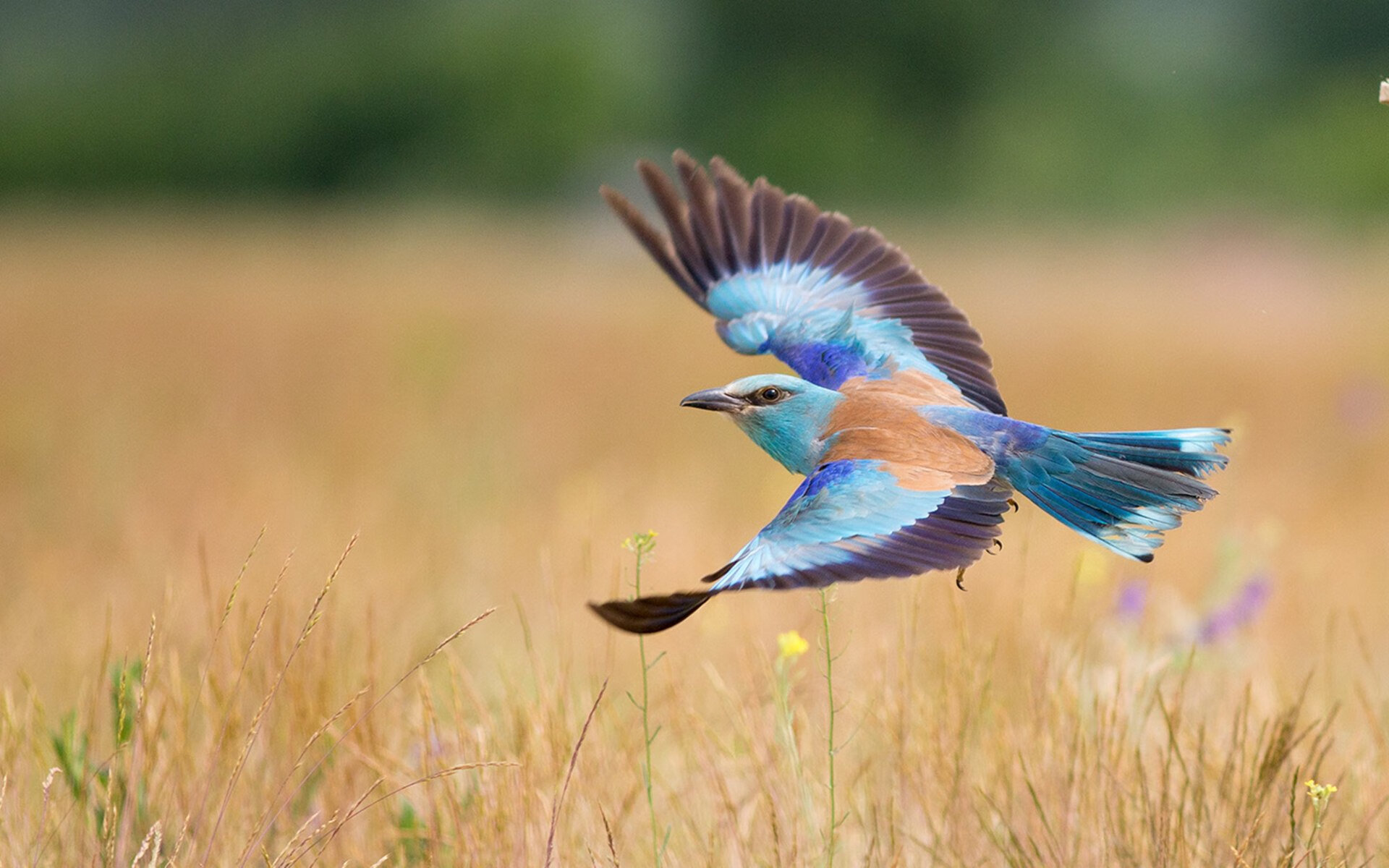 圣城一夜定义三种人生，当马克西的47分成为三种命运的交响