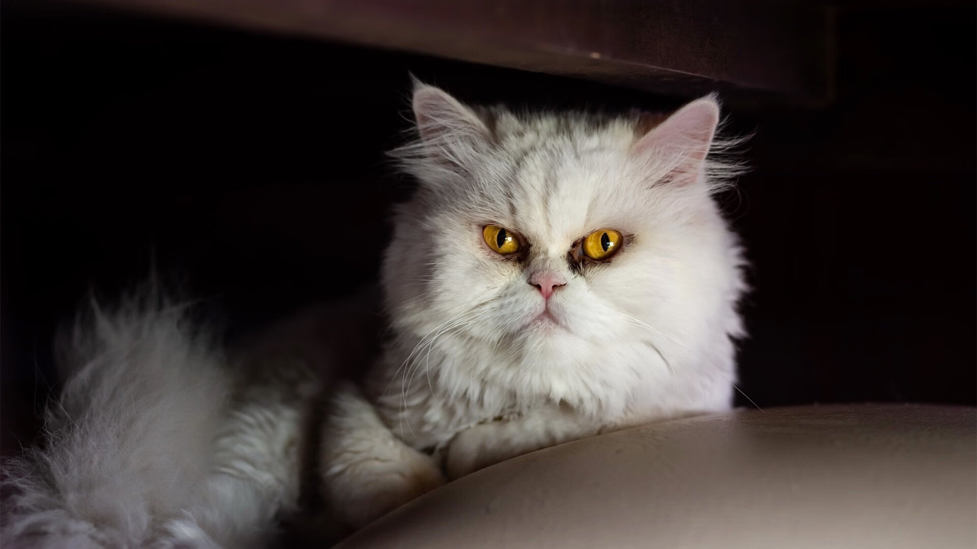 个人英雄与整体铁壁，奥斯梅恩的爆发，为何不敌莱比锡的机器革命？