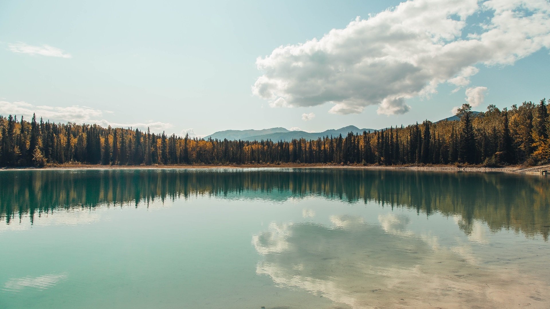 关键先生！贝恩独揽攻防命脉，掘金客场撕破国王铁壁