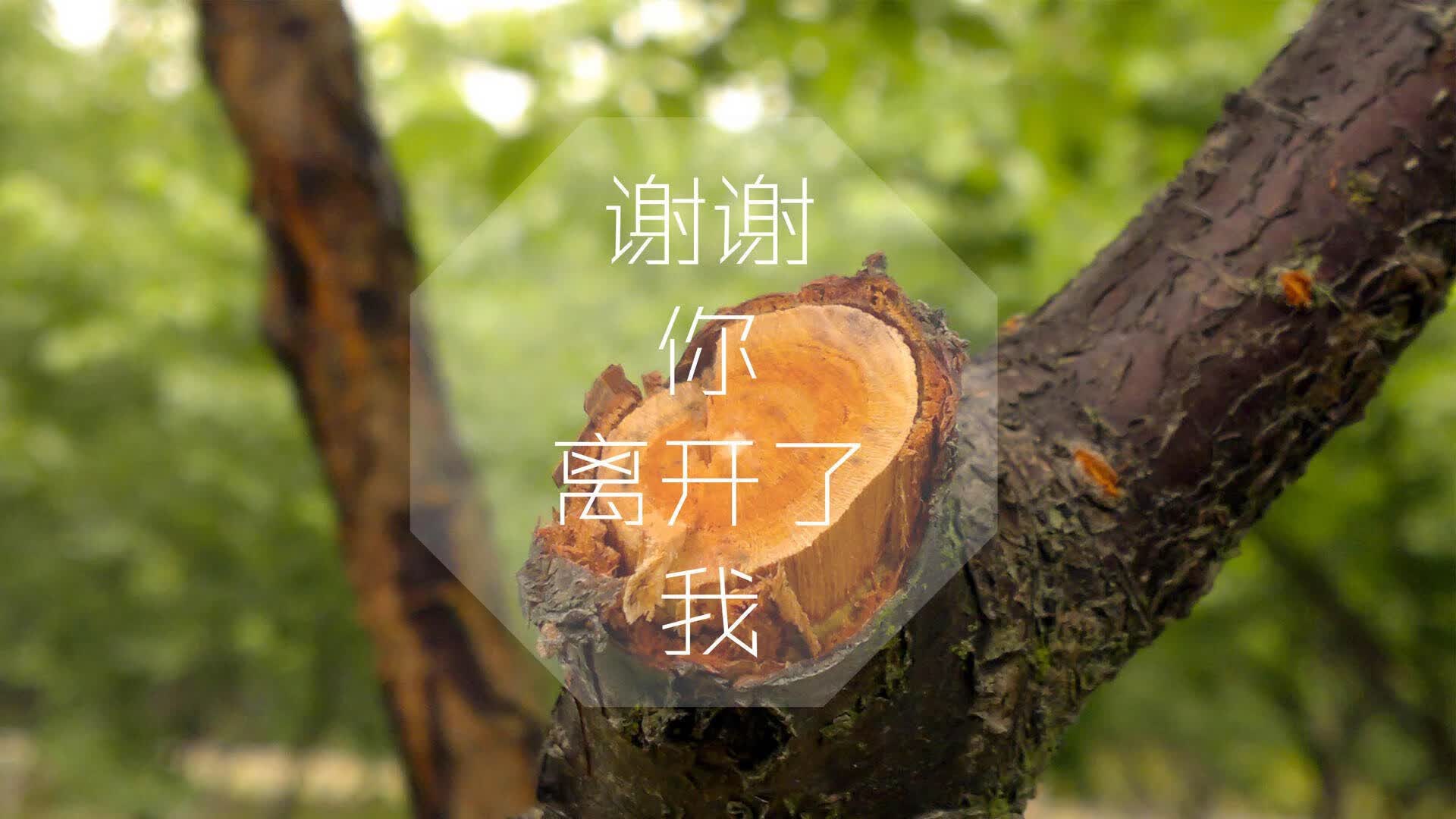 铁血少年掀翻新大陆，加维的强硬与葡萄牙的华丽，写就2026世界杯F组唯一剧本